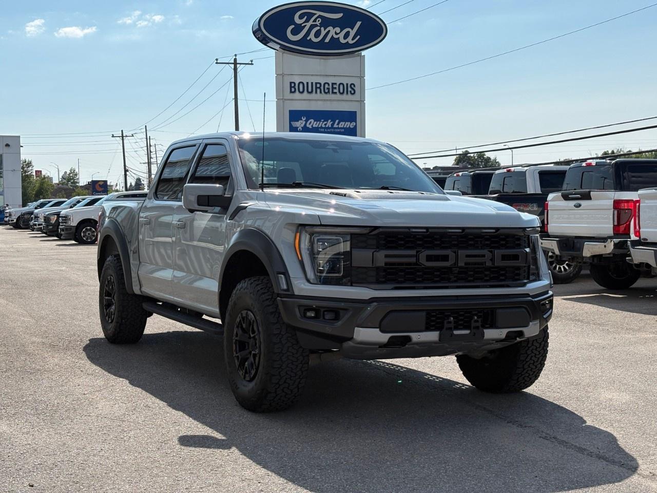 2023 Ford F-150 Raptor 4WD SuperCrew 5.5' Box Photo3