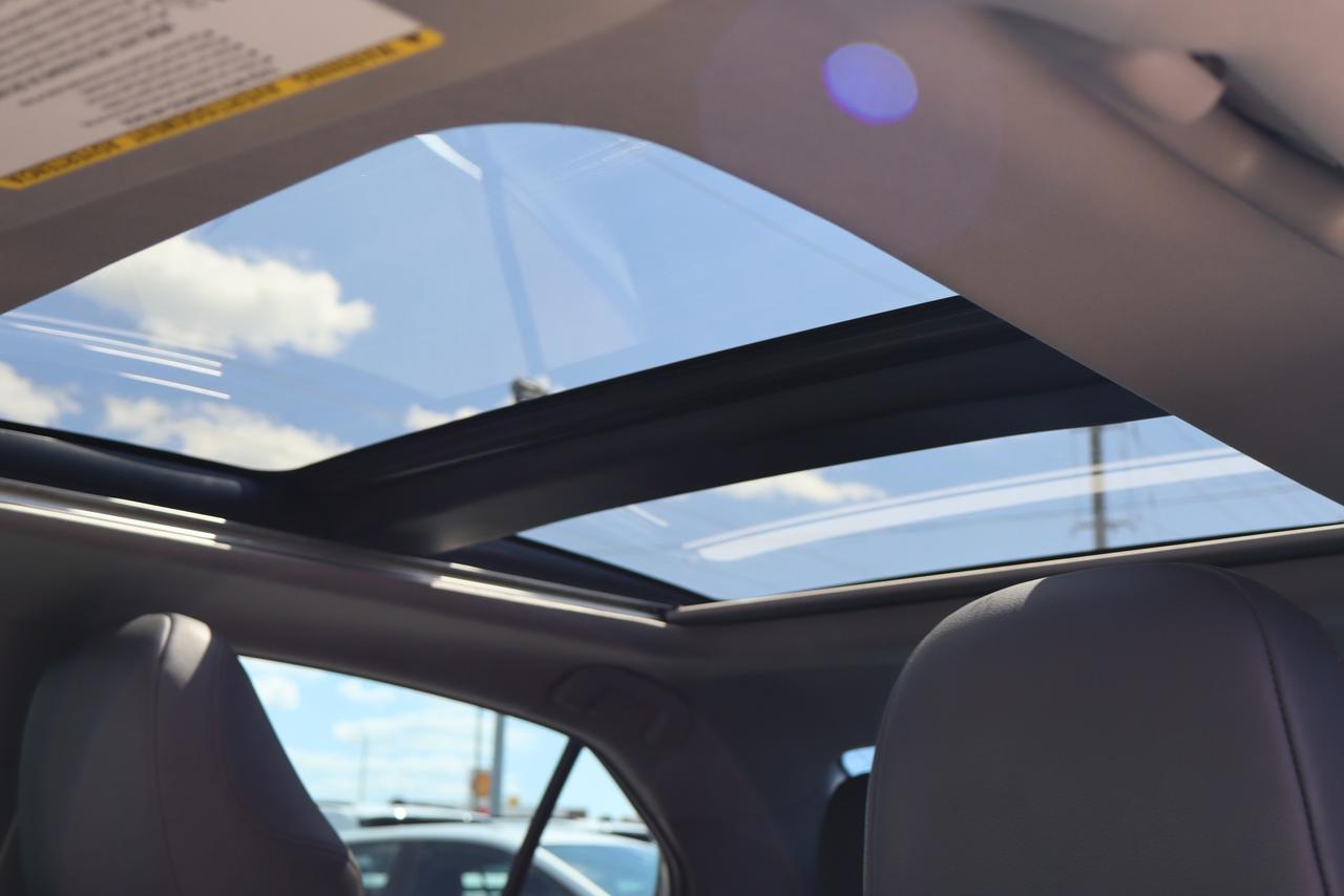 2020 Toyota Camry XLE Photo
