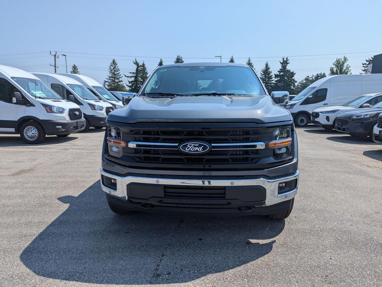 2026 Ford F-150 XLT SuperCrew 302A 4x4 Photo1