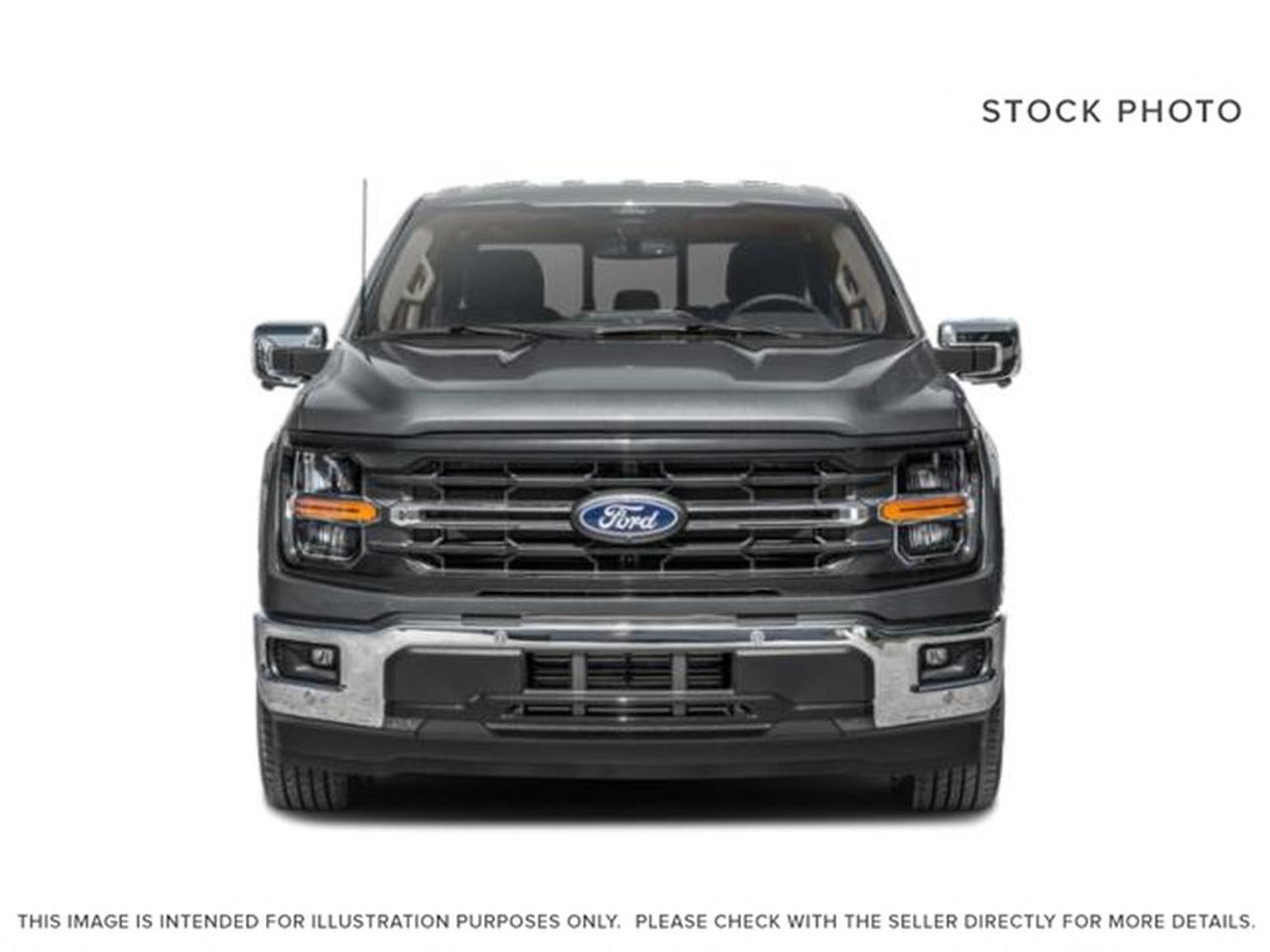 2025 Ford F-150 XLT Photo4