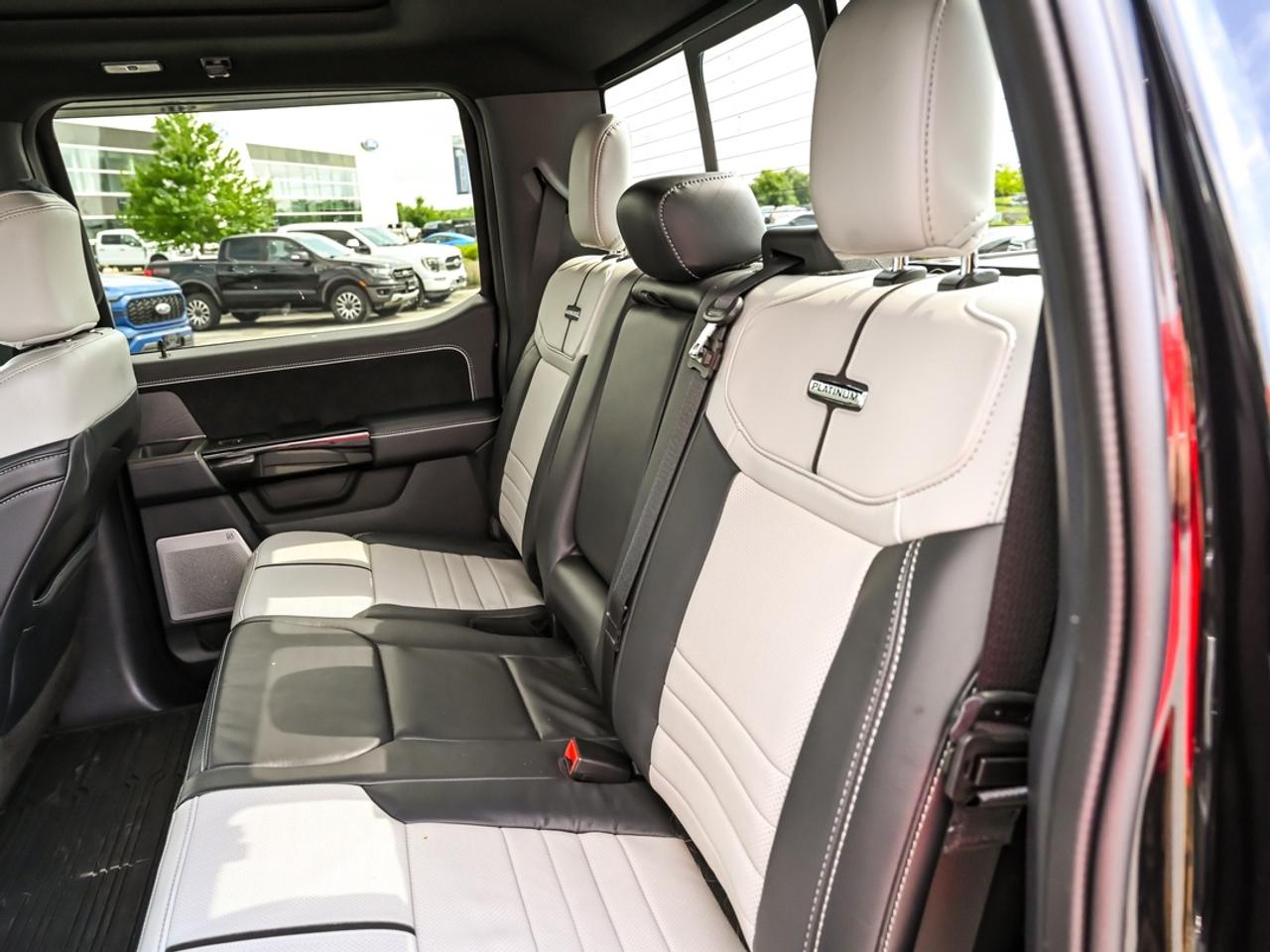 2023 Ford F-150 Lightning Platinum Photo