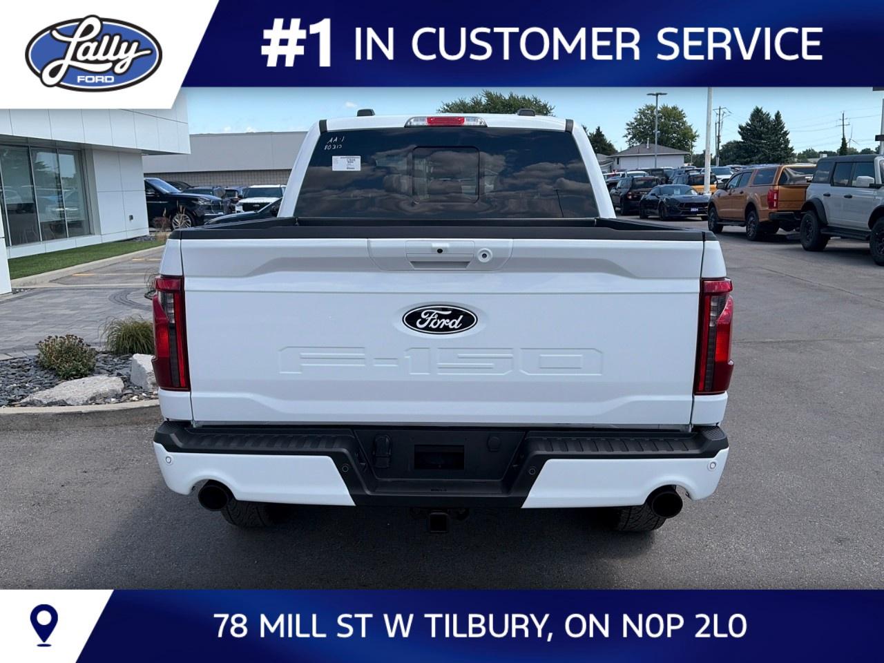 2026 Ford F-150 XLT 4WD SuperCrew 5.5' Box Photo3