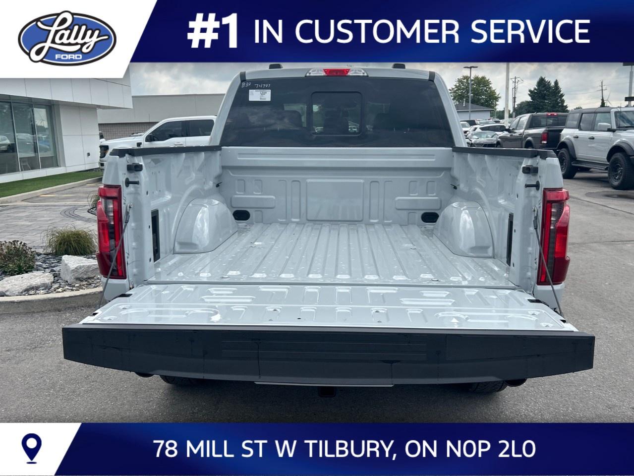 2026 Ford F-150 XLT 4WD SuperCrew 5.5' Box Photo
