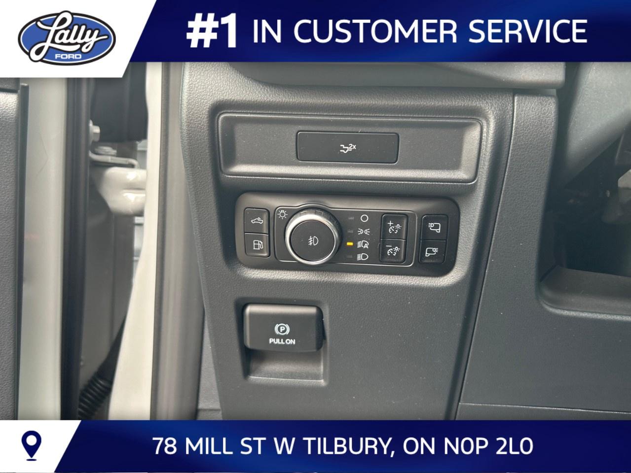 2026 Ford F-150 XLT 4WD SuperCrew 5.5' Box Photo