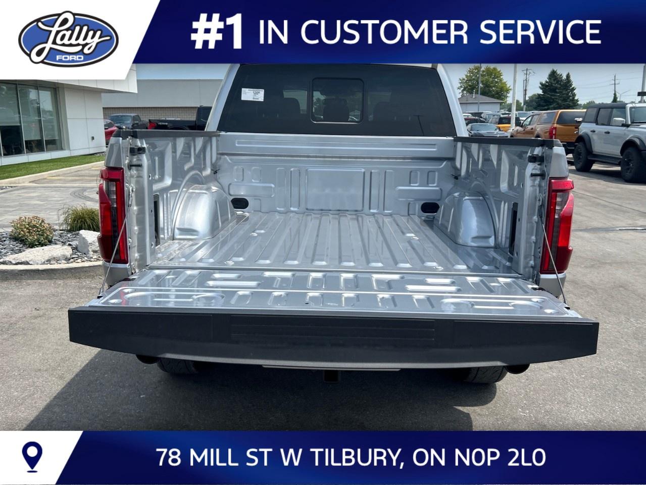 2026 Ford F-150 XLT 4WD SuperCrew 5.5' Box Photo