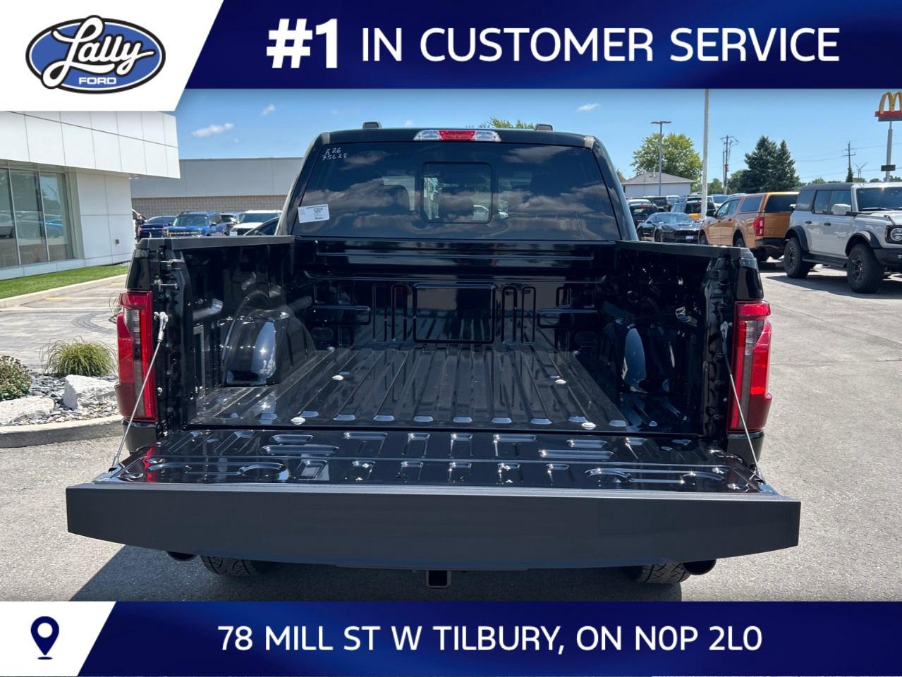 2026 Ford F-150 XLT 4WD SuperCrew 5.5' Box Photo4