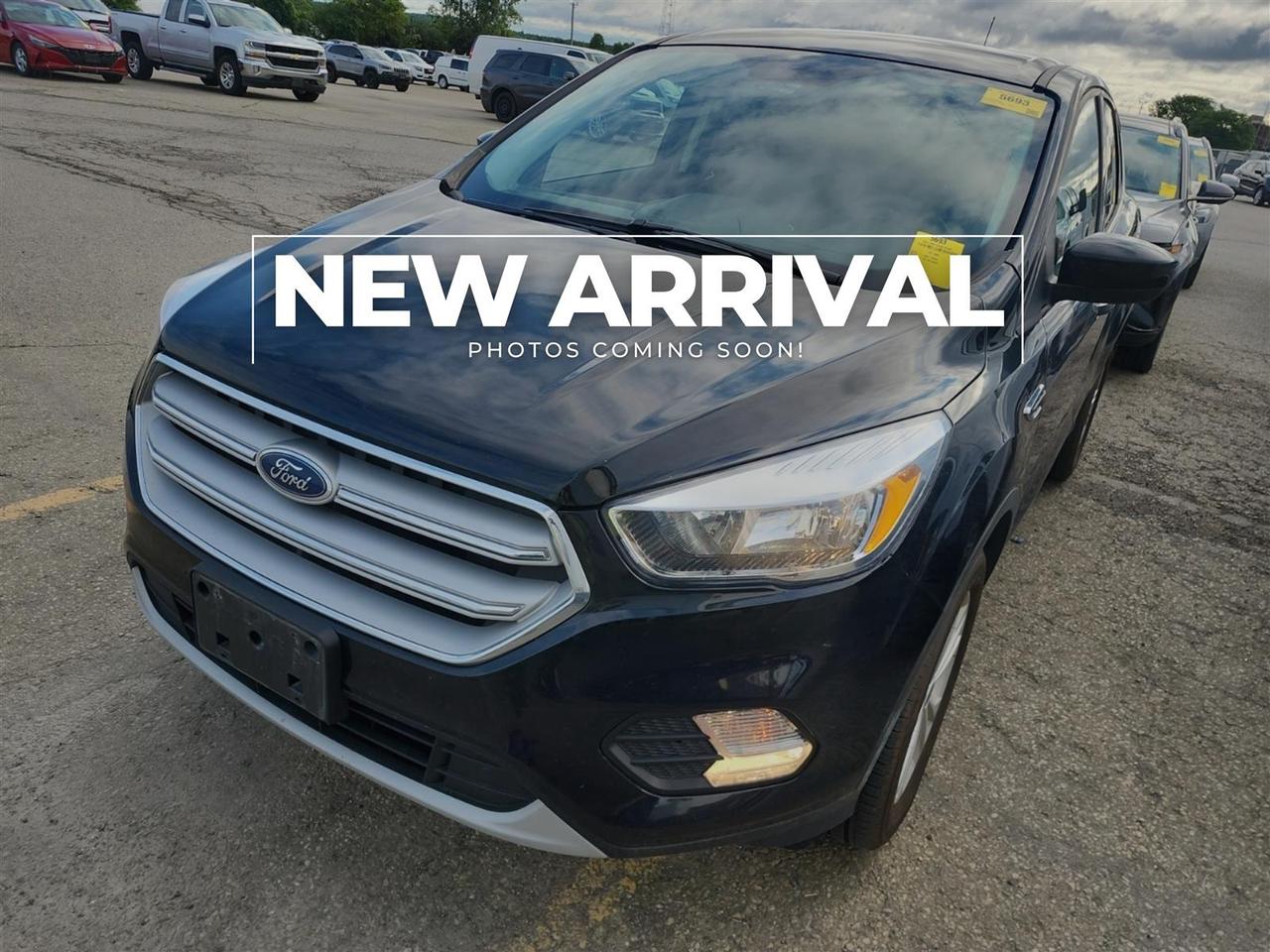 2019 Ford Escape SE | 4WD | COMPLETE SERVICE RECORDS | NO ACCIDENTS Photo