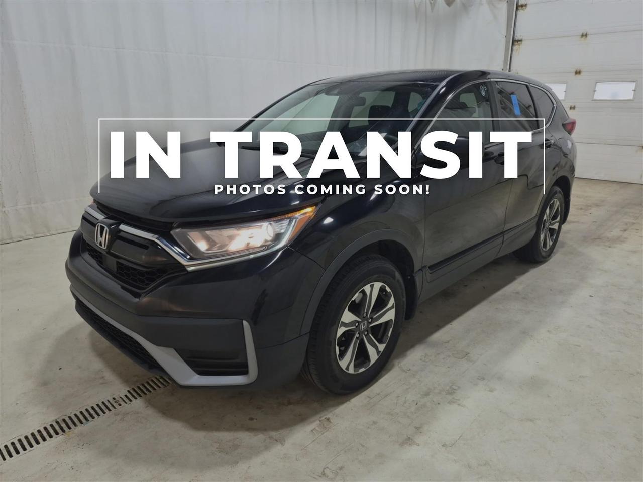 2022 Honda CR-V LX AWD | REMOTE START | NO ACCIDENTS Photo0