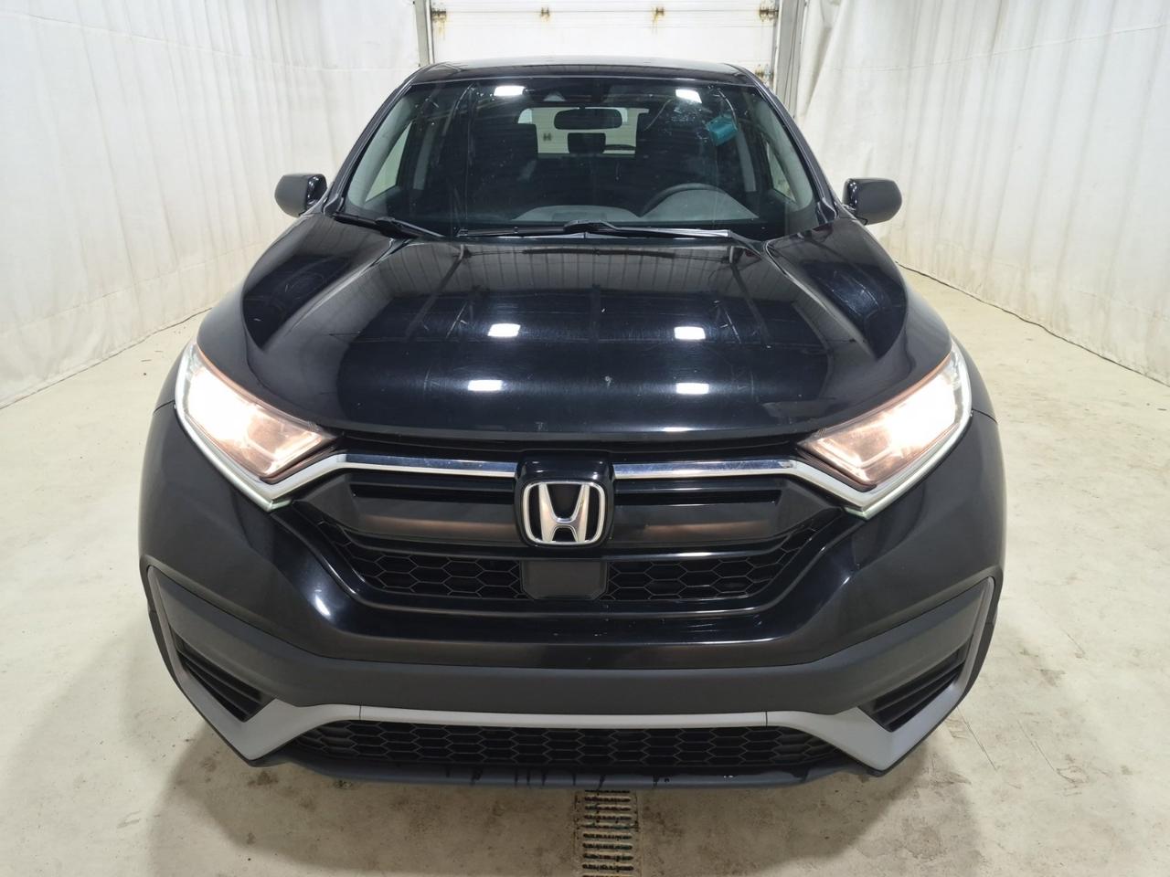 2022 Honda CR-V LX AWD | REMOTE START | NO ACCIDENTS Photo