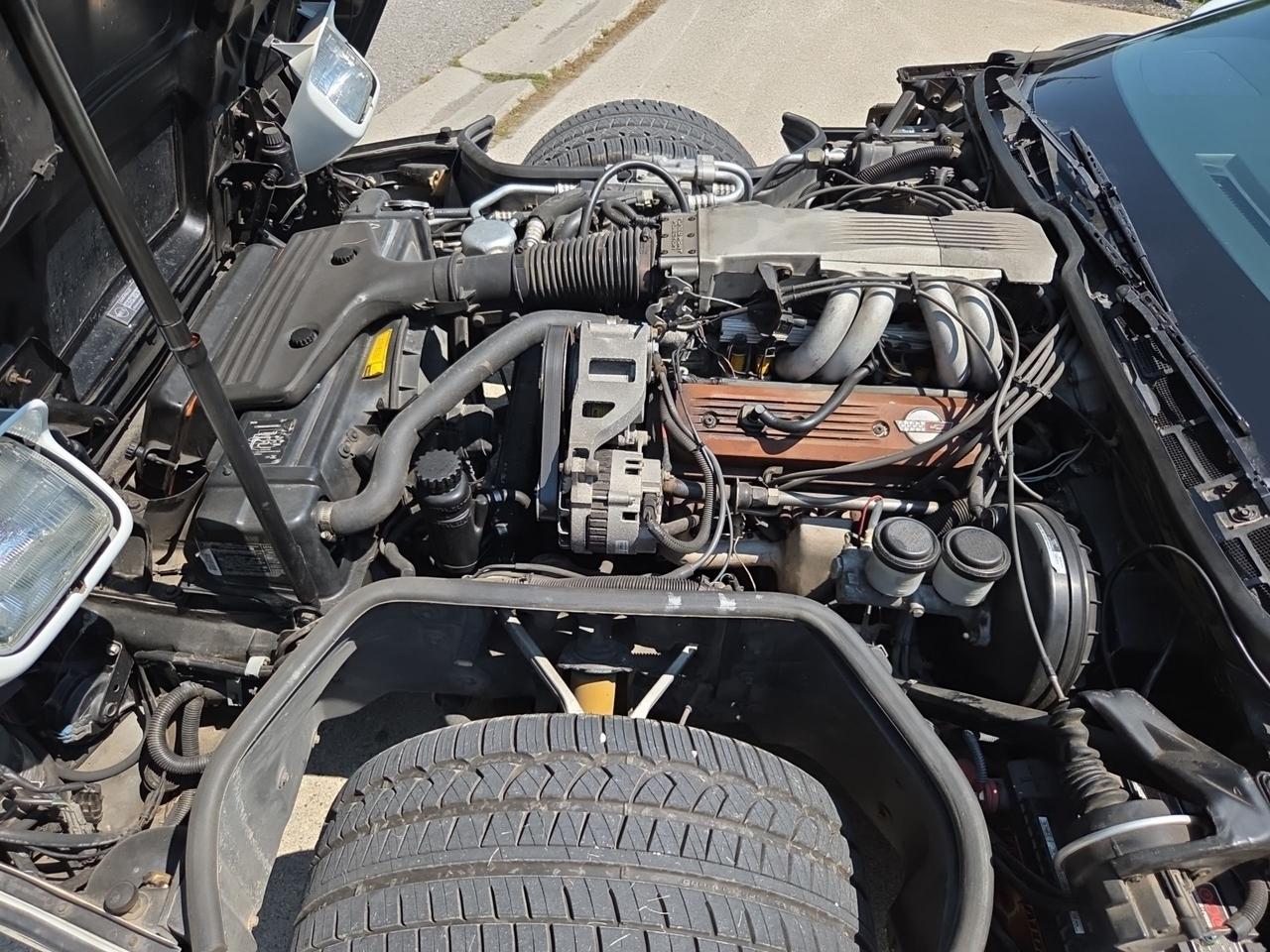1989 Chevrolet Corvette  Photo