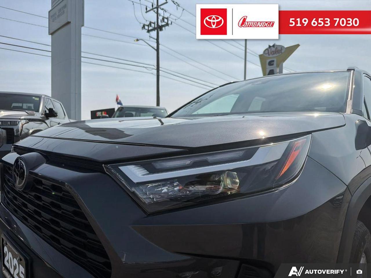 2025 Toyota RAV4 Hybrid XLE Photo