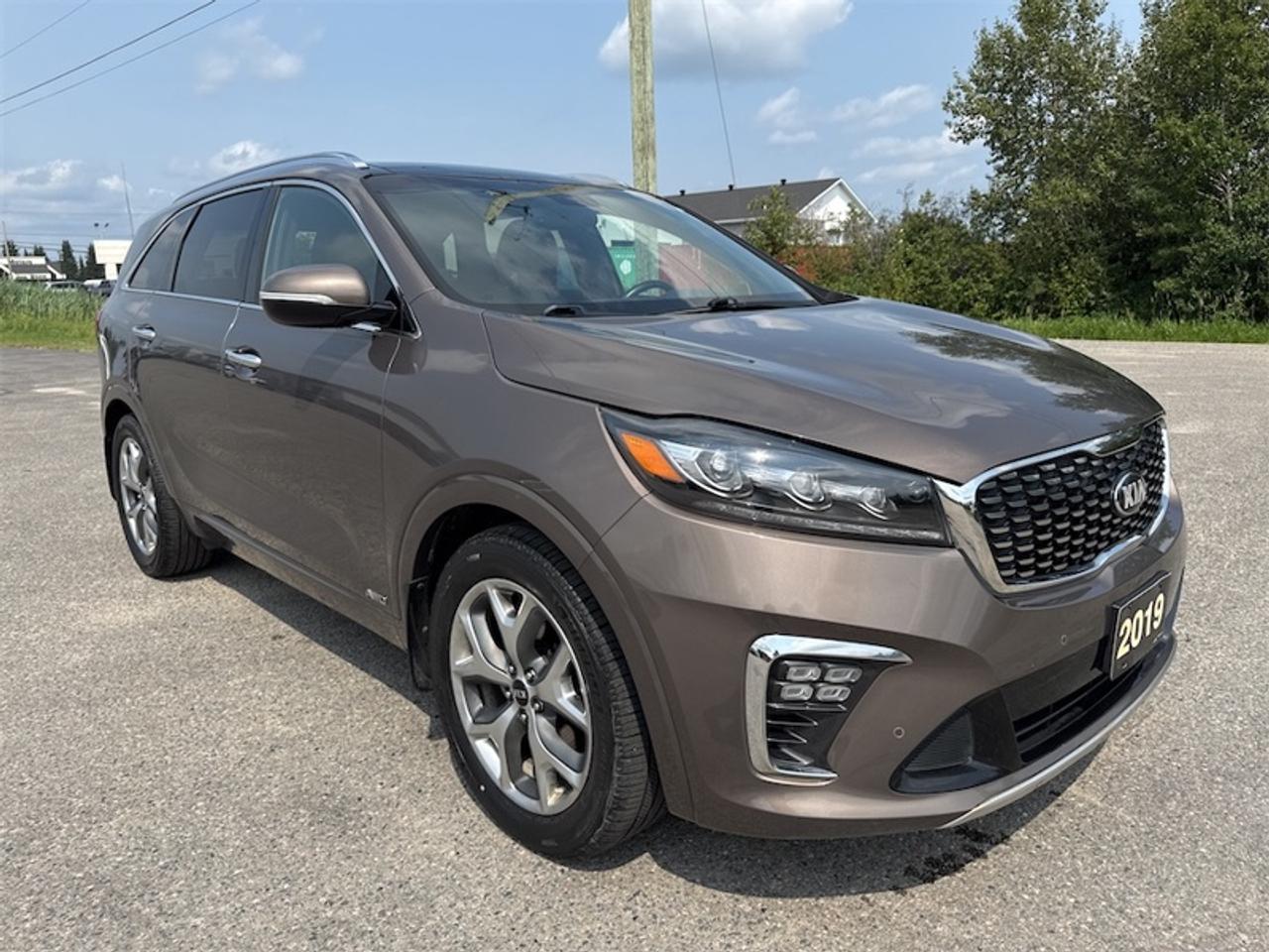 2019 Kia Sorento SX  Panoramic Sunroof- $229 B/W Photo2