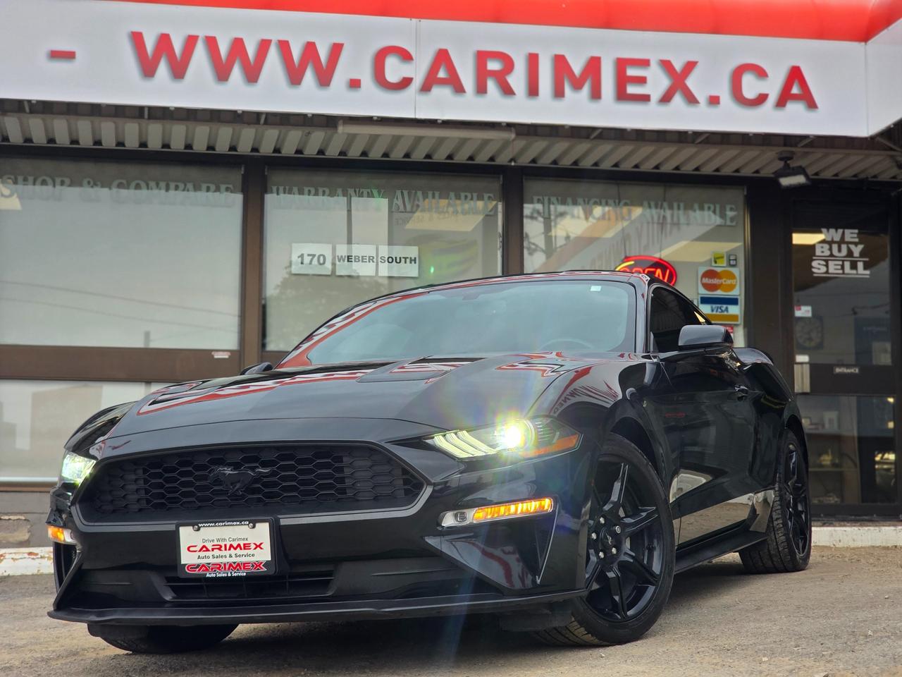 Used 2020 Ford Mustang EcoBoost Premium LOW KMS | NAVI | LEATHER | VENTED SEATS for sale in Waterloo, ON