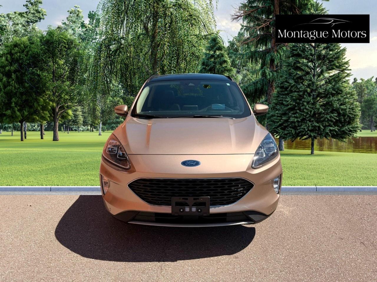 2020 Ford Escape Titanium Hybrid AWD Photo