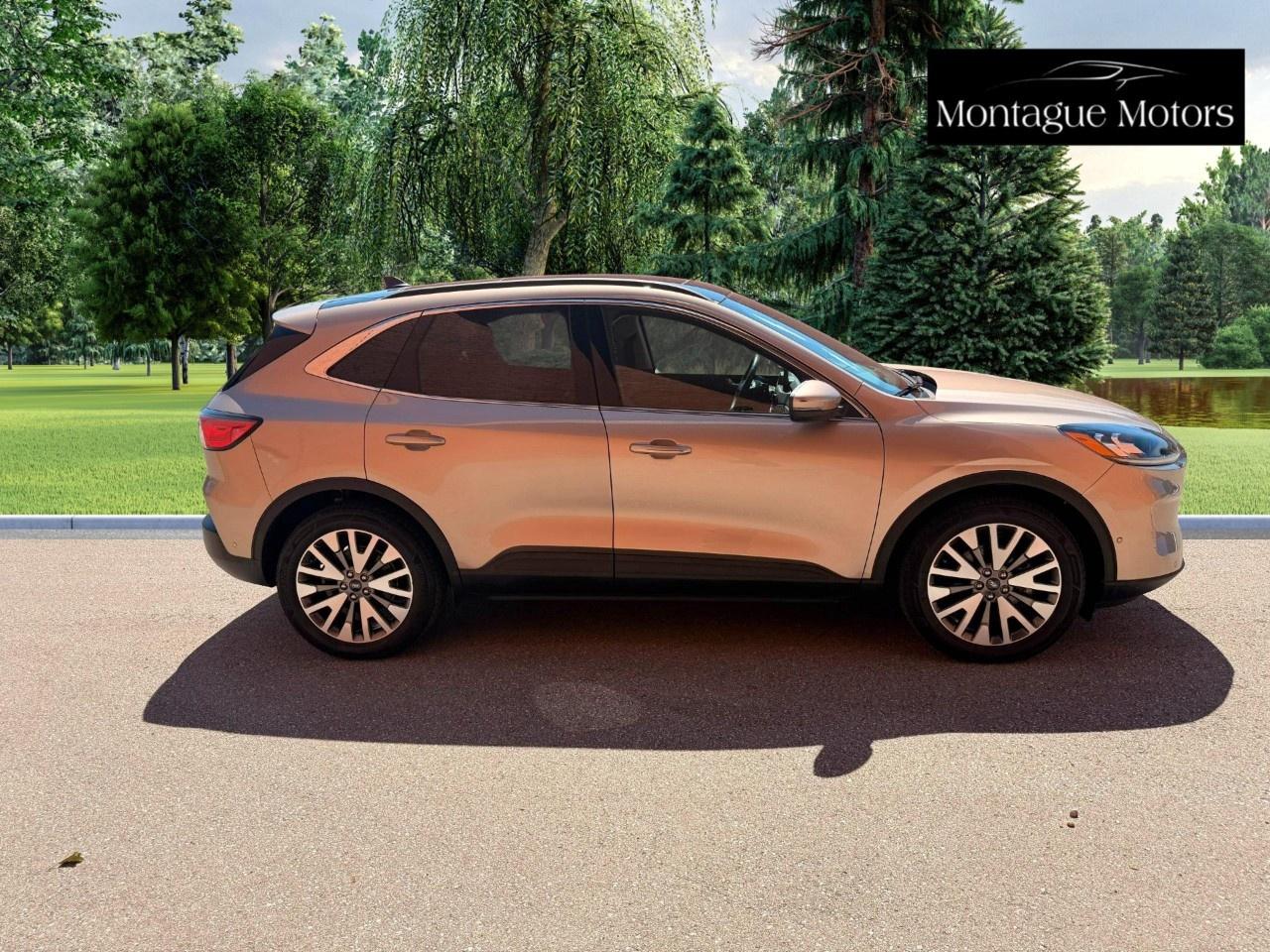 2020 Ford Escape Titanium Hybrid AWD Photo