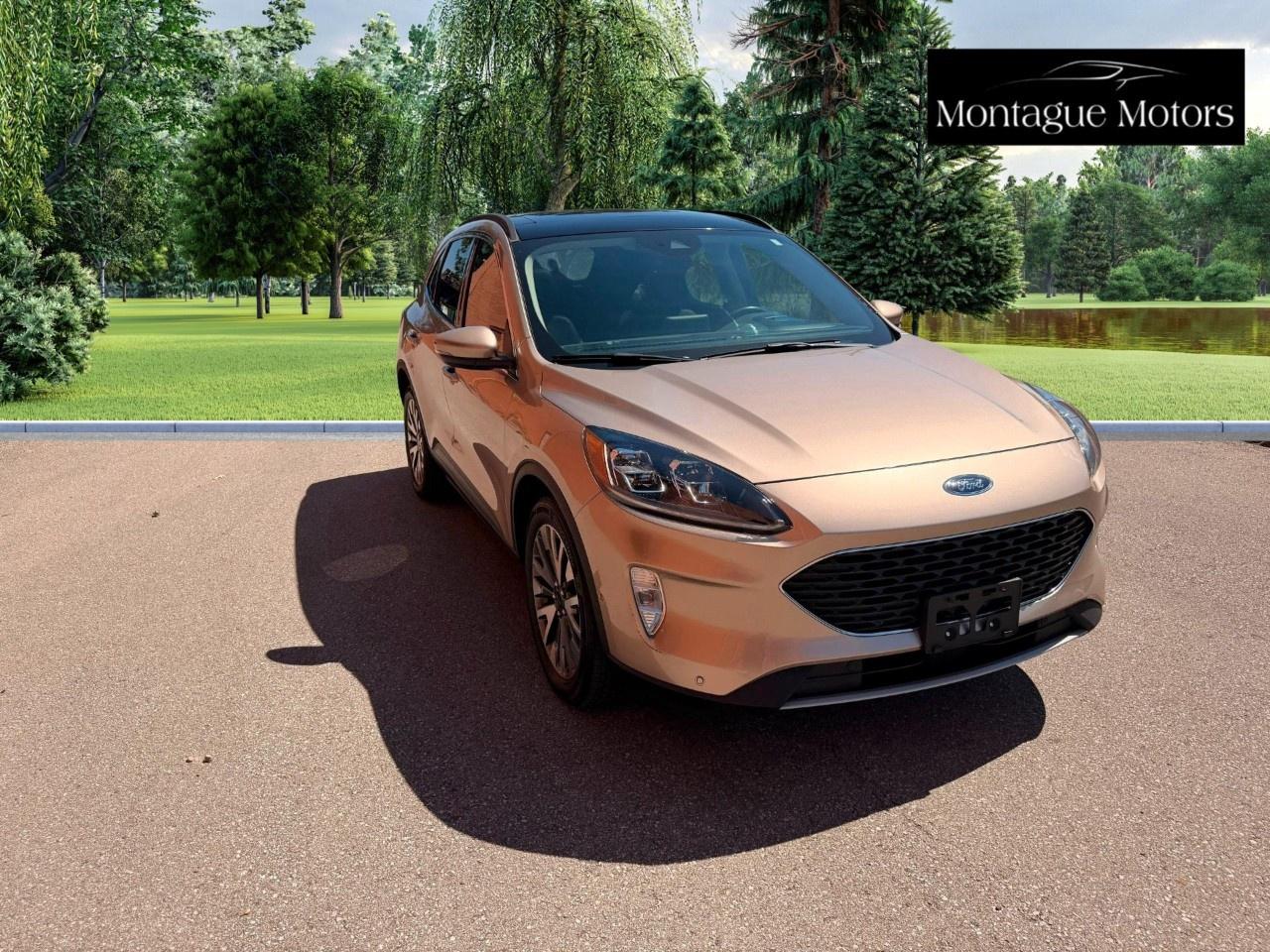2020 Ford Escape Titanium Hybrid AWD Photo