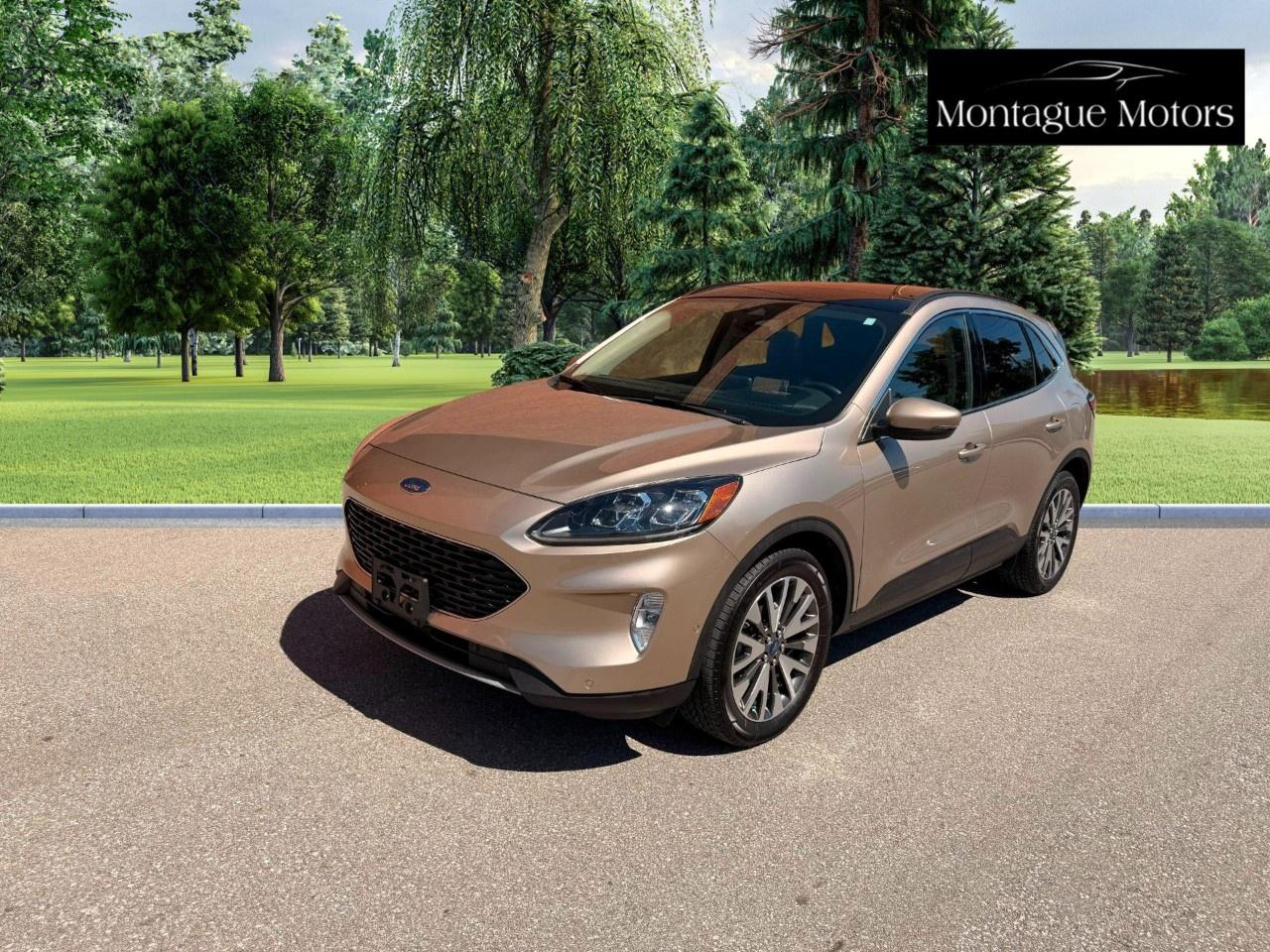 Used 2020 Ford Escape Titanium Hybrid AWD for sale in Burlington, ON