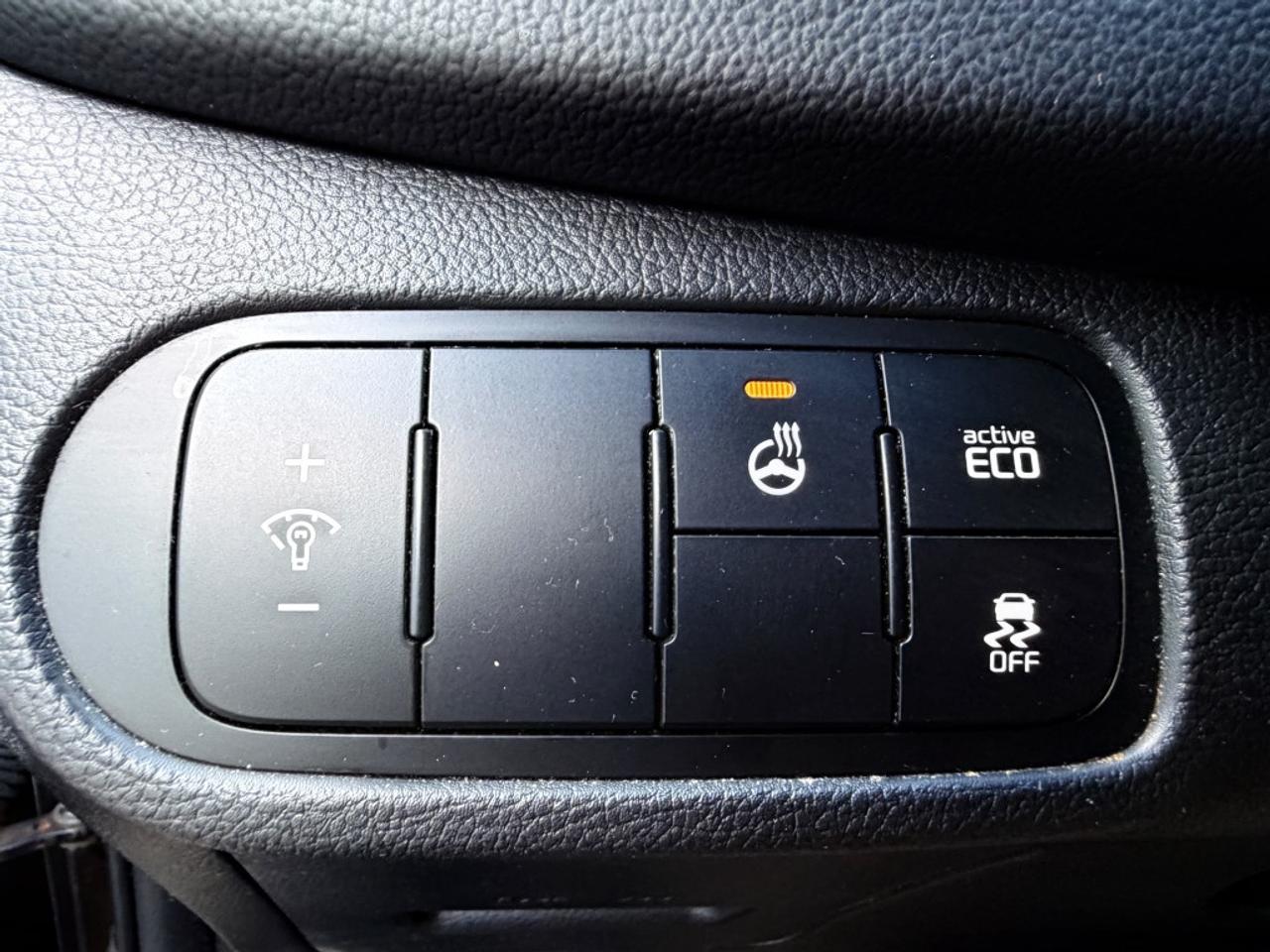 2015 Kia Rondo GLS(Middle grade) Photo