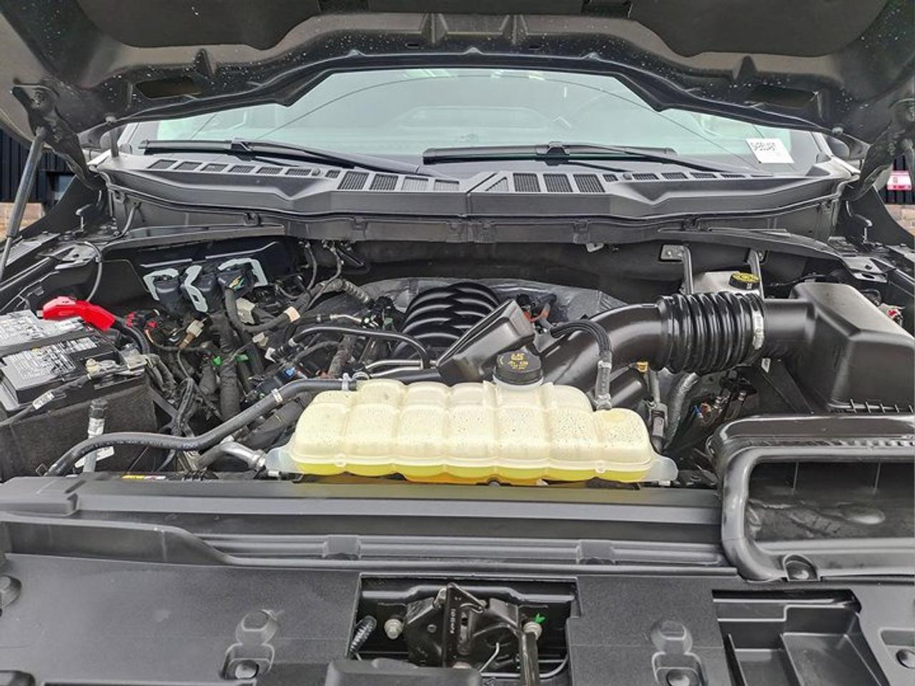 2025 Ford F-150 XLT Crew 4X4 | 5.0L V8 | Power Seat | CarPlay + Android | Rear Camera | and More ! Photo