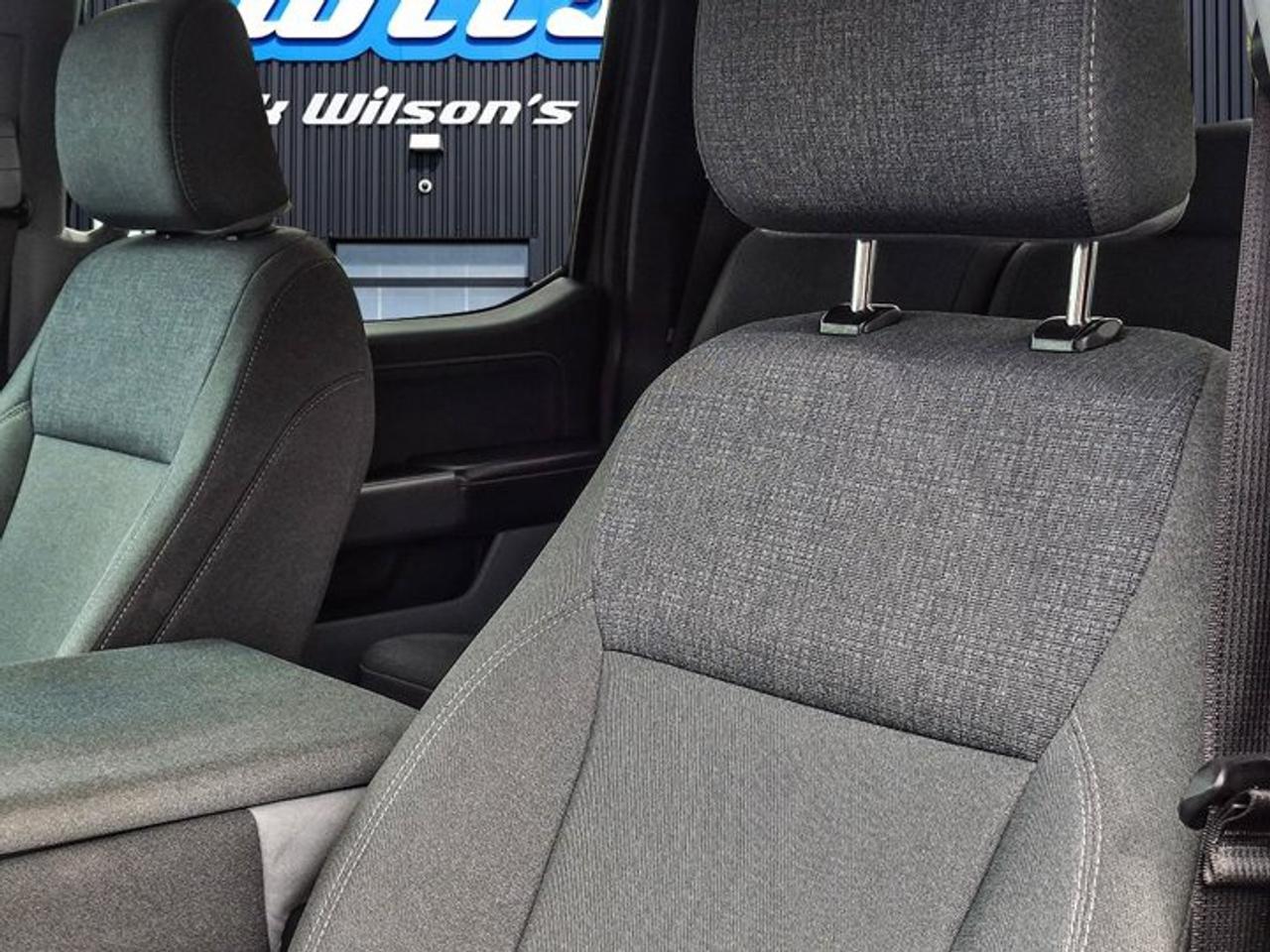 2025 Ford F-150 XLT Crew 4X4 | 5.0L V8 | Power Seat | CarPlay + Android | Rear Camera | and More ! Photo