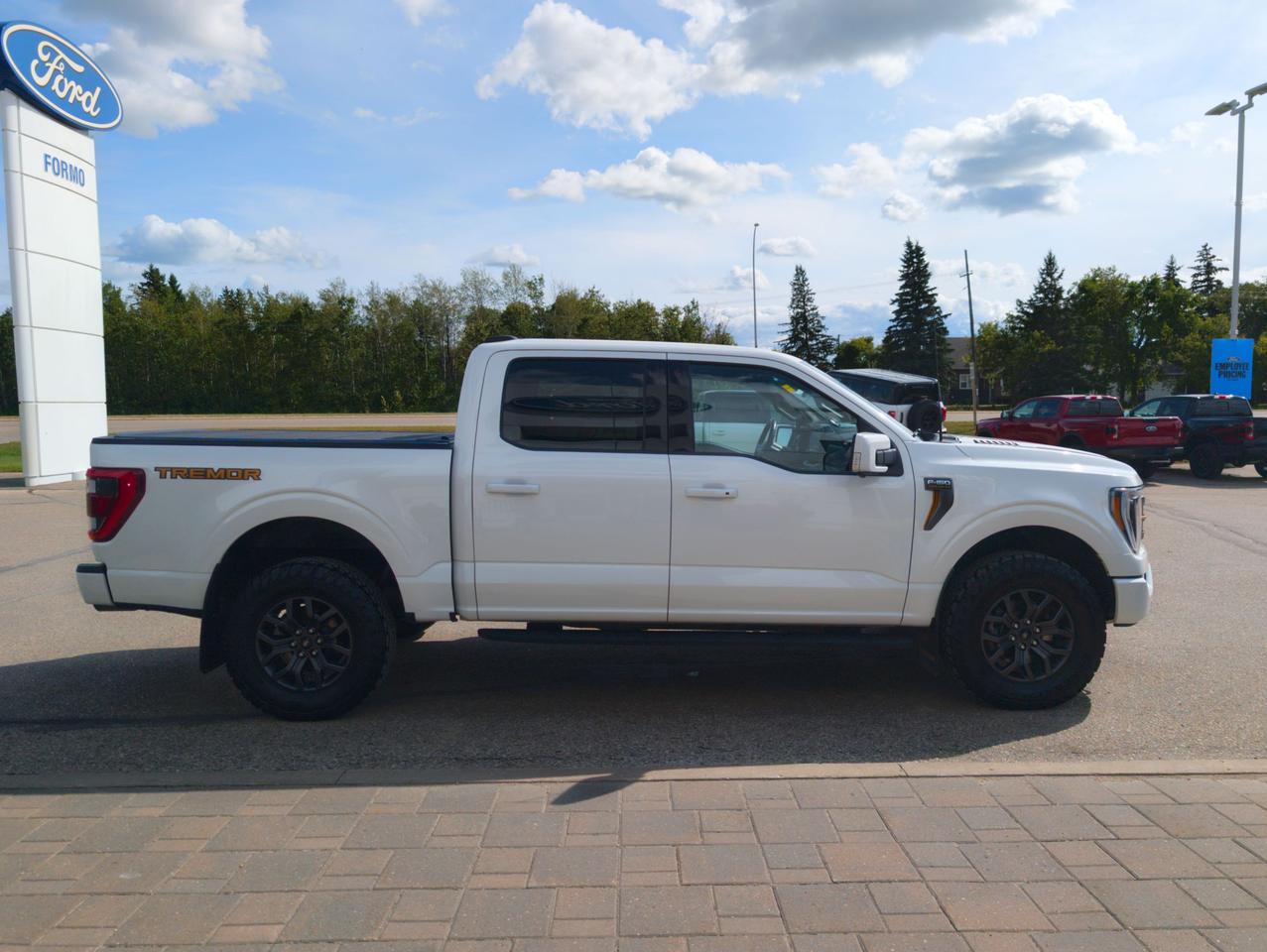 2023 Ford F-150 Tremor Photo4
