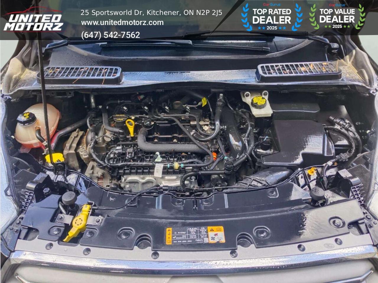 2019 Ford Escape SE AUTO FWD 1.5L~SAFETY CERTIFIED~NO ACCIDENTS~ Photo