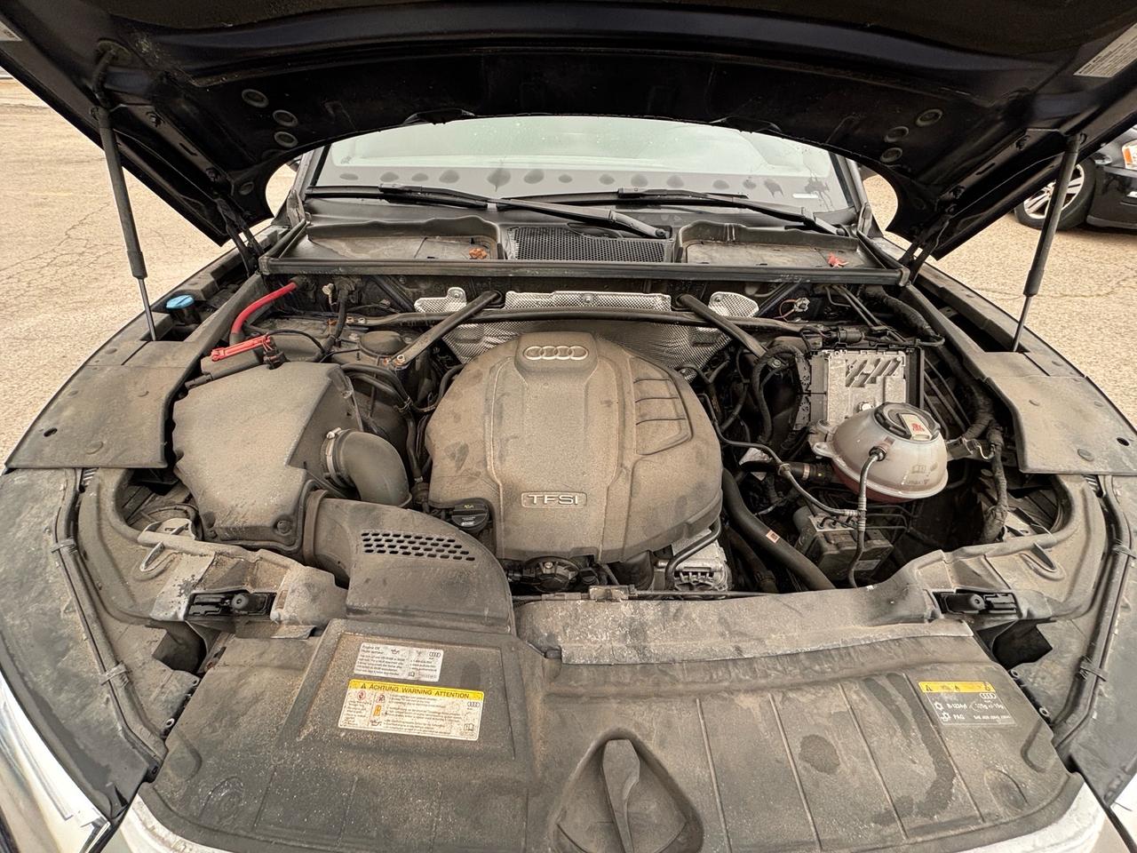 2018 Audi Q5 2.0 TFSI quattro Progressiv S tronic Photo