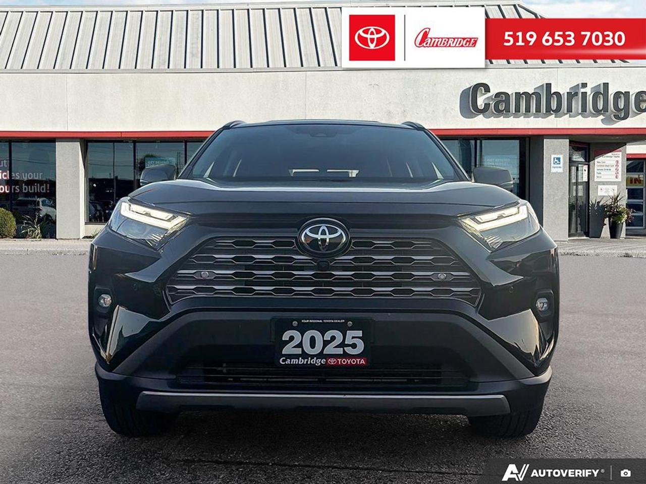 2025 Toyota RAV4 LIMITED  Photo