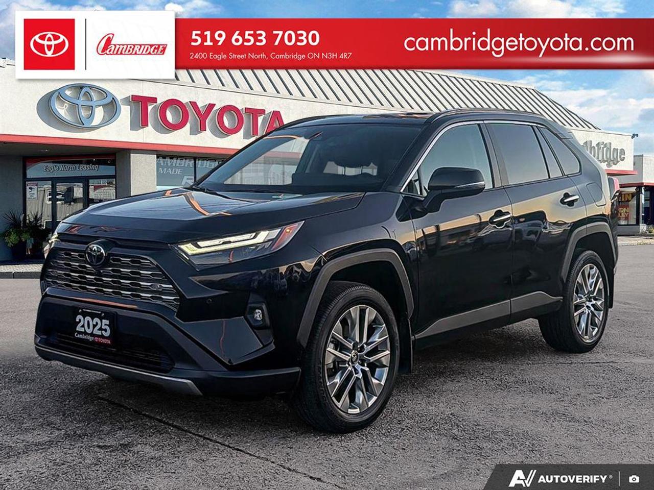 2025 Toyota RAV4 LIMITED  Photo
