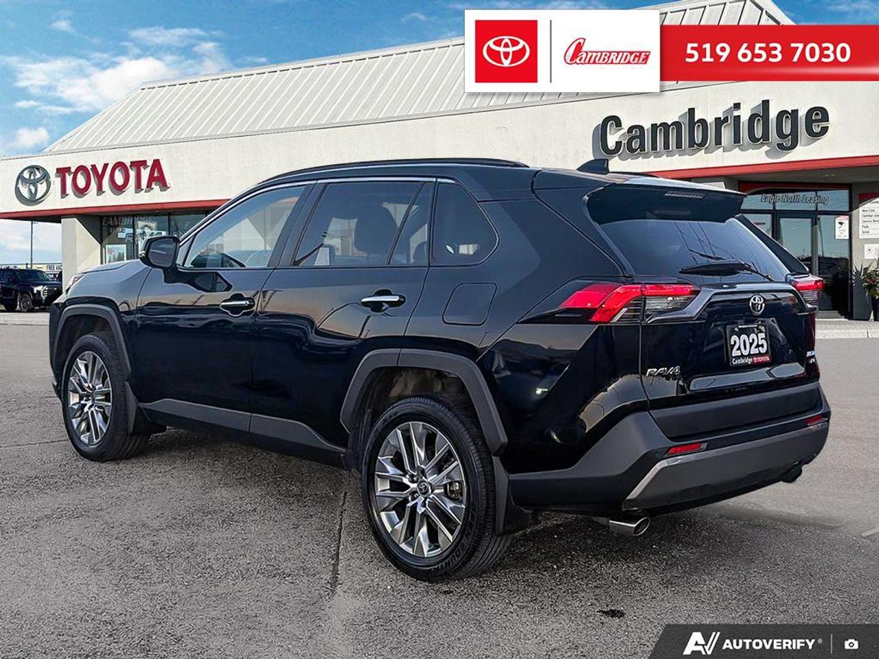 2025 Toyota RAV4 LIMITED  Photo3