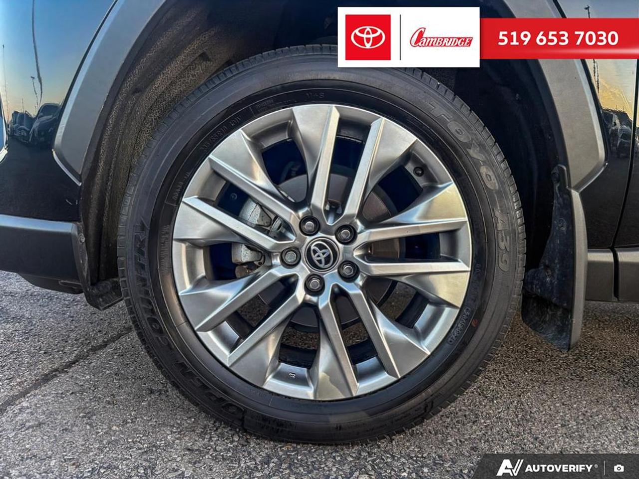 2025 Toyota RAV4 LIMITED  Photo
