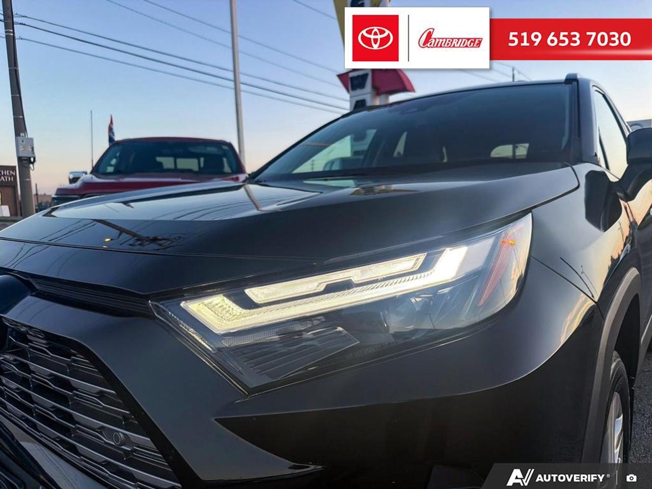 2025 Toyota RAV4 LIMITED  Photo