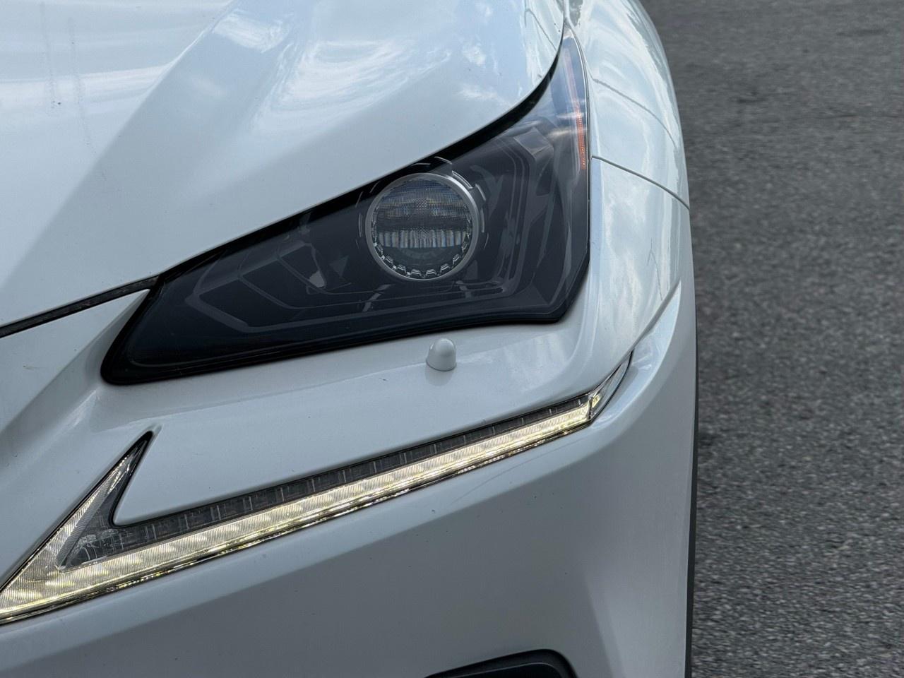 14542068.827787597
