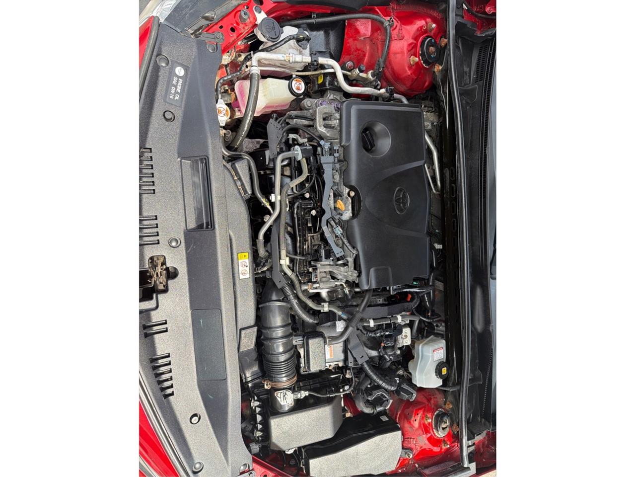 2019 Toyota Camry Hybrid SE-HYBRID Photo