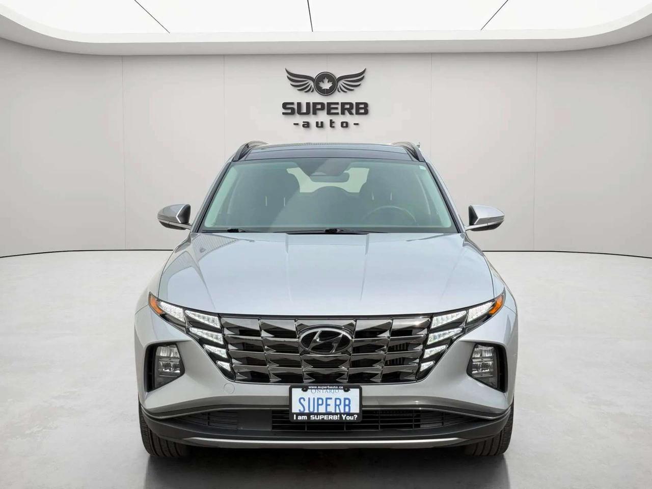 2024 Hyundai Tucson LUXURY   AWD   HYBRID   NO ACCIDENT   BOSE SOUND Photo