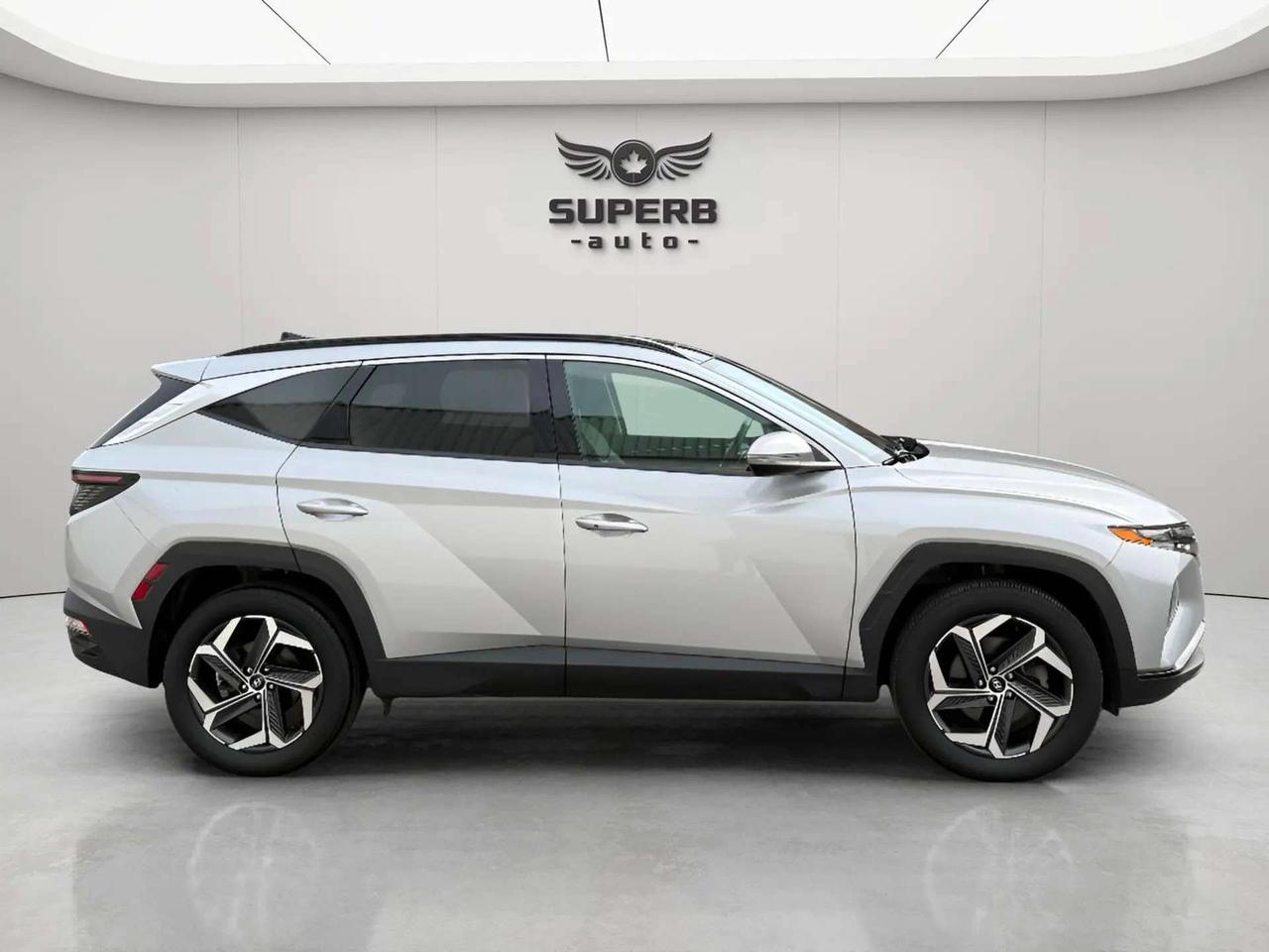 2024 Hyundai Tucson LUXURY   AWD   HYBRID   NO ACCIDENT   BOSE SOUND Photo