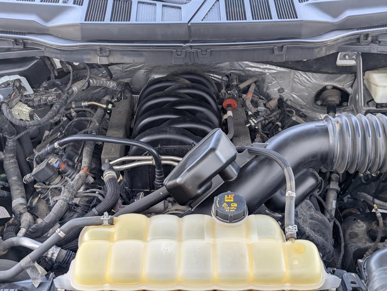 2022 Ford F-150 XLT/5.0 V8/4X4/SUPERCREW/5.5ftbed Photo
