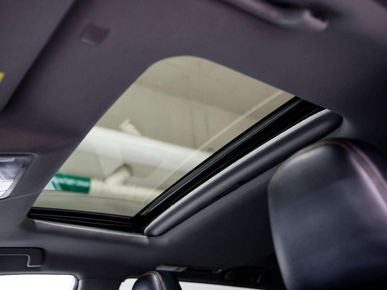 2019 Toyota Highlander  Photo