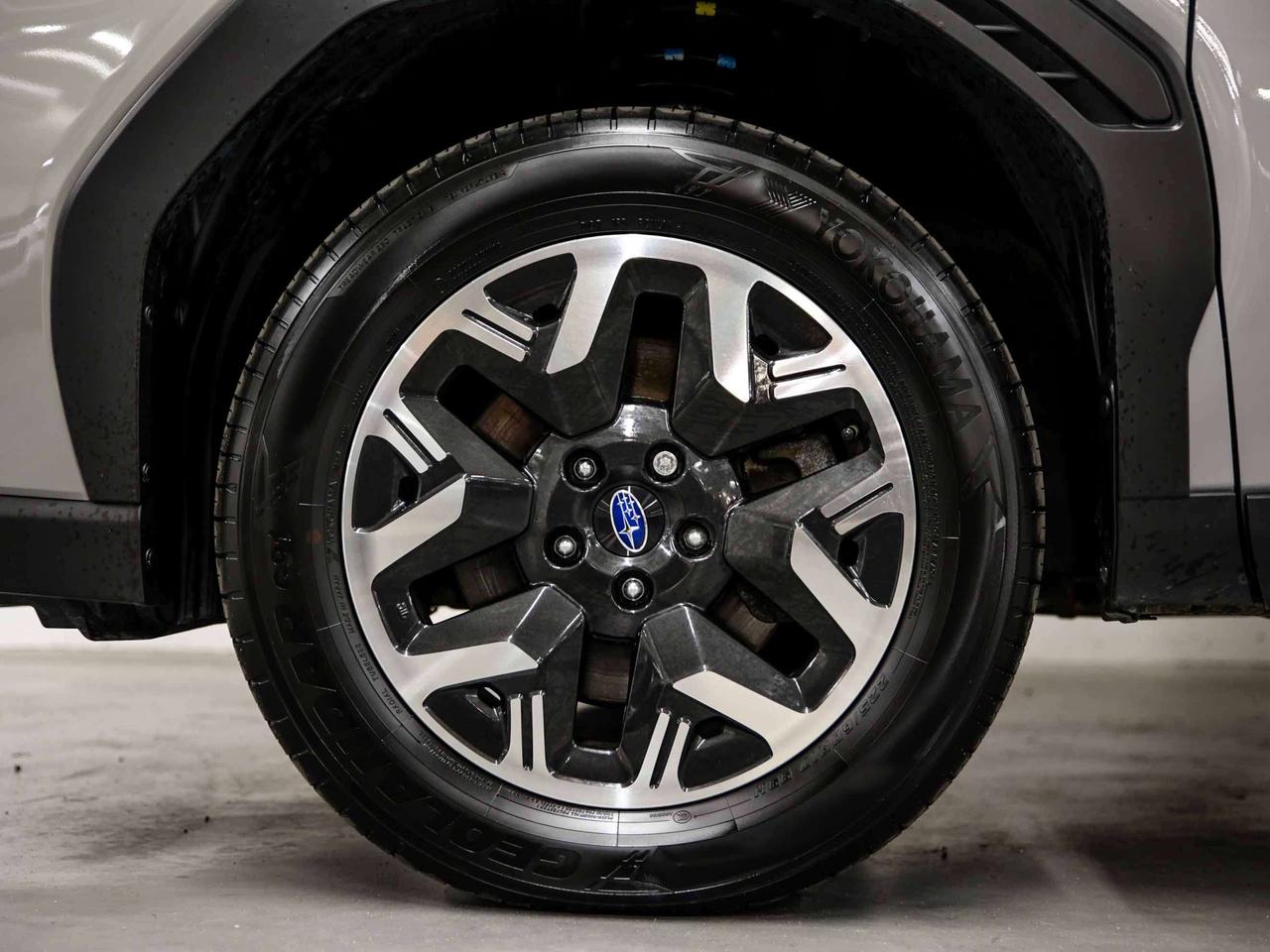 2025 Subaru Forester  Photo