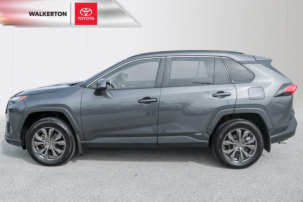 2024 Toyota RAV4 Hybrid XLE 4dr All-Wheel Drive Photo