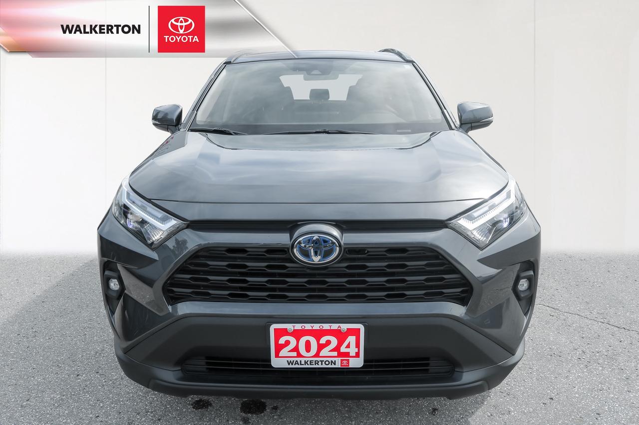 2024 Toyota RAV4 Hybrid XLE 4dr All-Wheel Drive Photo1