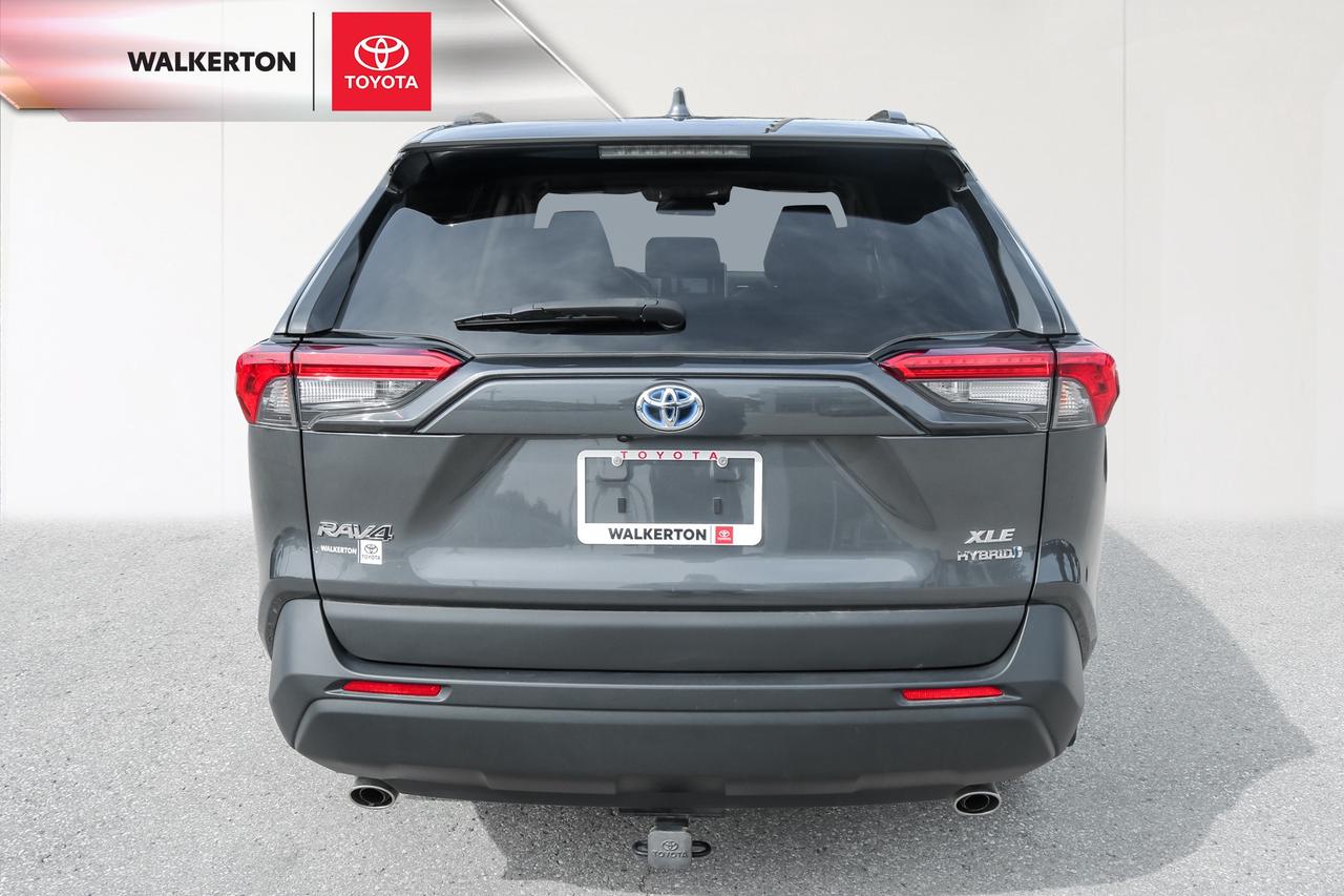 2024 Toyota RAV4 Hybrid XLE 4dr All-Wheel Drive Photo