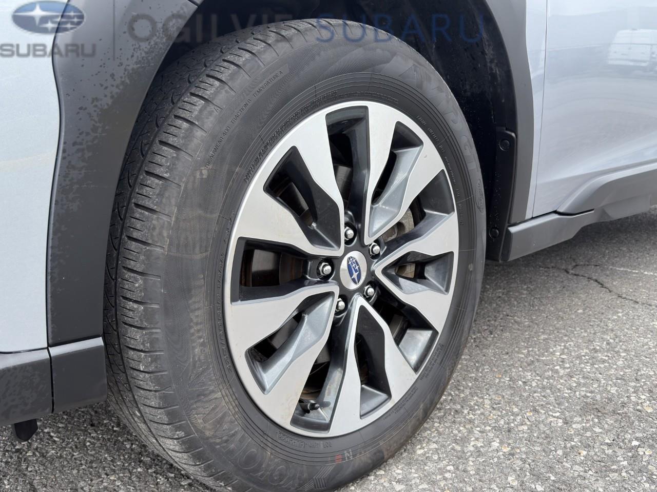 2024 Subaru Outback Premier XT 4dr All-Wheel Drive Photo