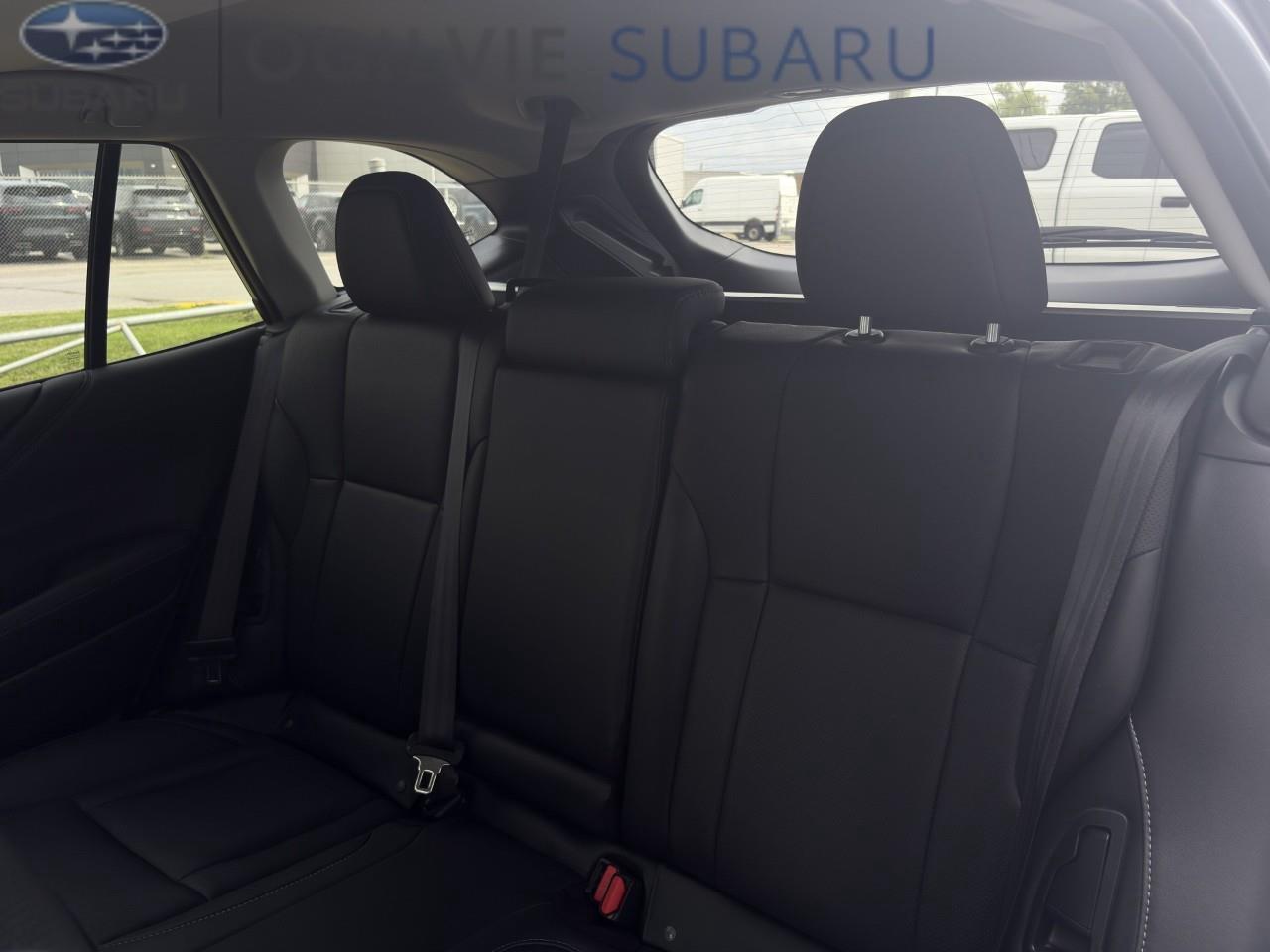 2024 Subaru Outback Premier XT 4dr All-Wheel Drive Photo