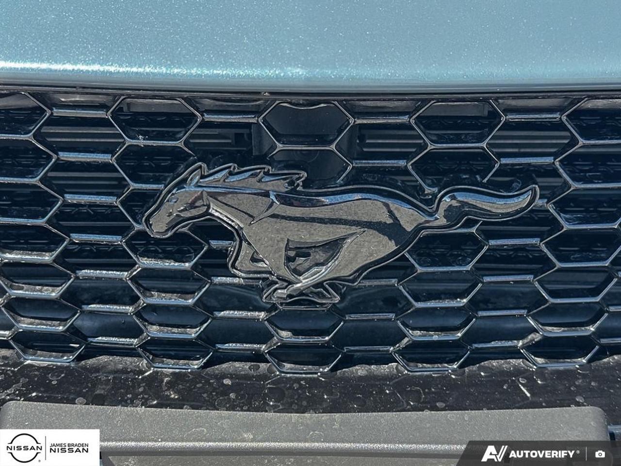 2024 Ford Mustang GT Fastback Photo