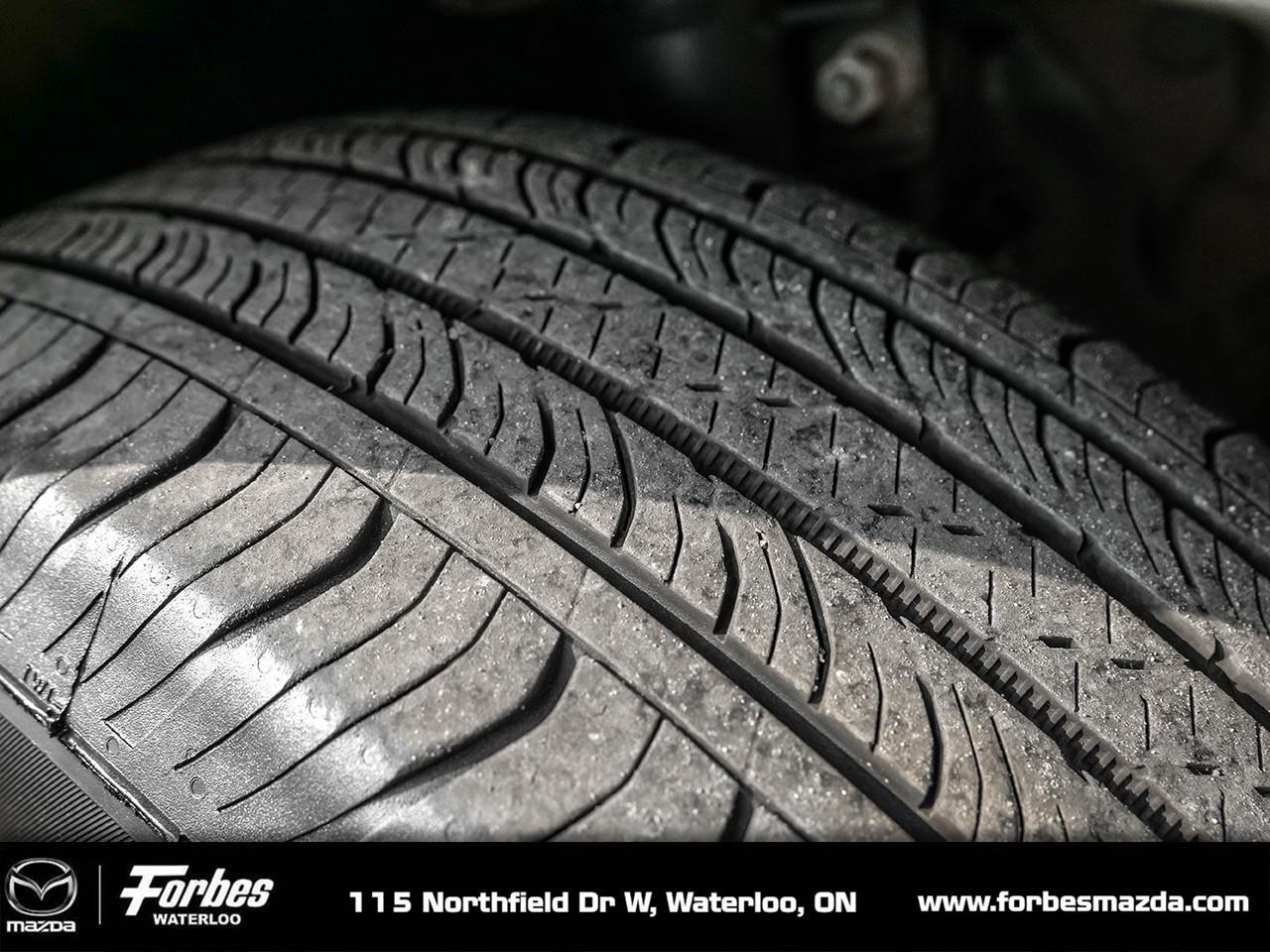 2023 Ford Escape Active 4dr All-Wheel Drive Photo
