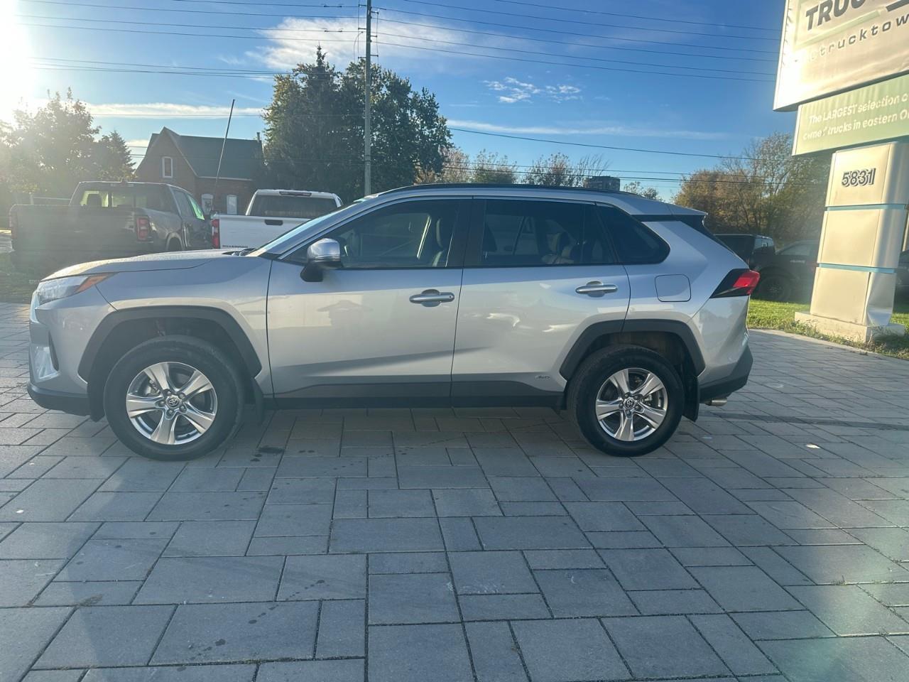 2025 Toyota RAV4 Hybrid XLE 4dr All-Wheel Drive Photo