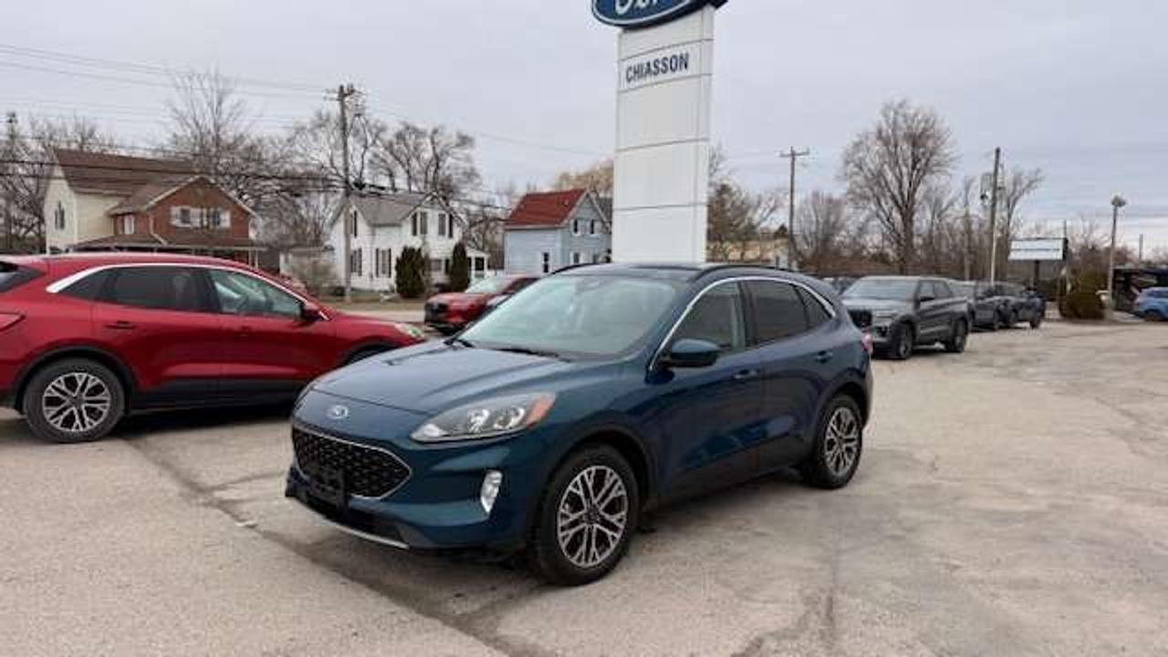 2020 Ford Escape SEL AWD, LEATHER, POWER LIFTGATE, 1 OWNER Photo