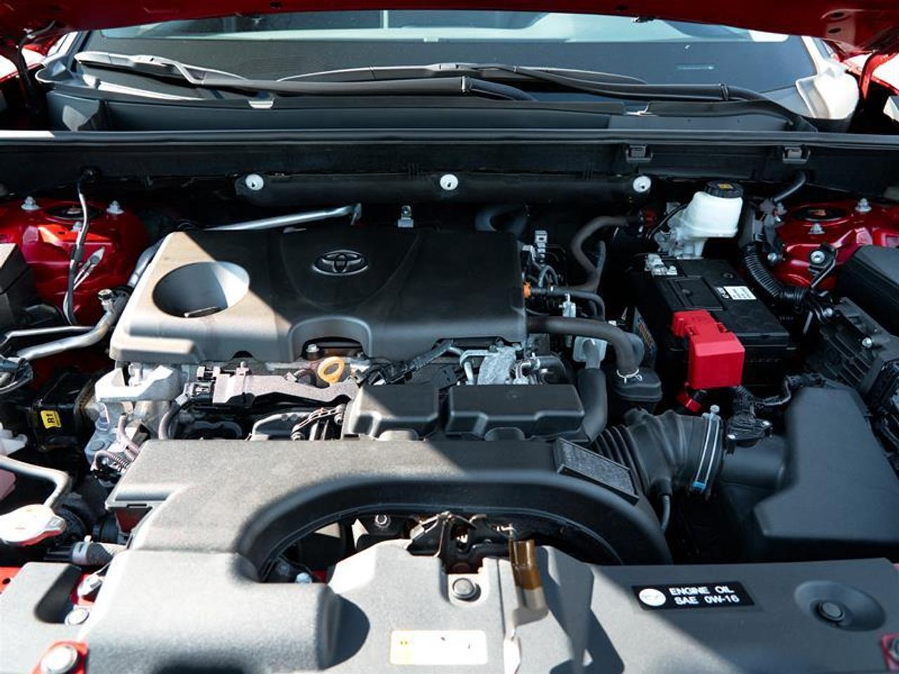 2020 Toyota RAV4 AWD XLE Photo
