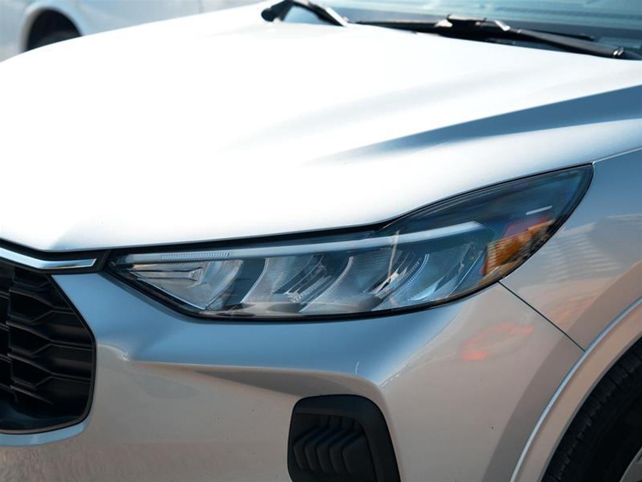 2023 Ford Escape ST-Line AWD Photo